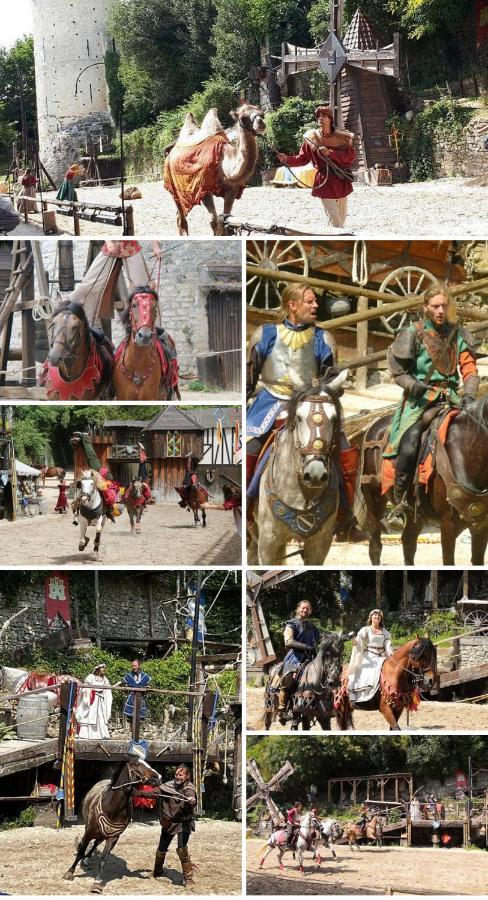 Harmonia Maison De Caractere Proche Provins Gouaix Екстериор снимка
